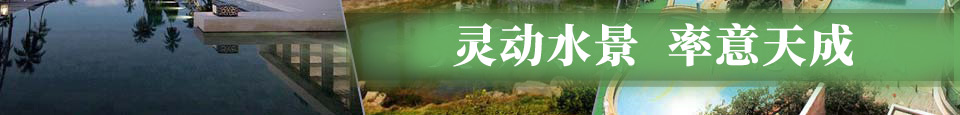 灵动水景 率意天成