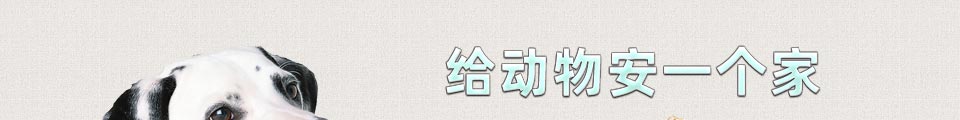 给动物安一个家
