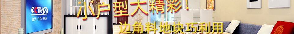 小户型大精彩-边角料地块巧利用