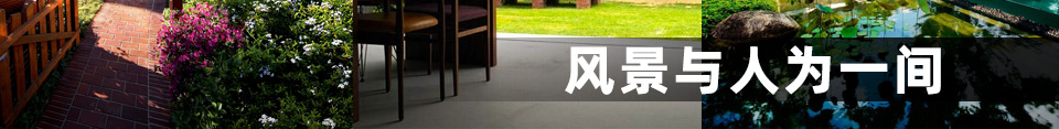 风景与人为一间